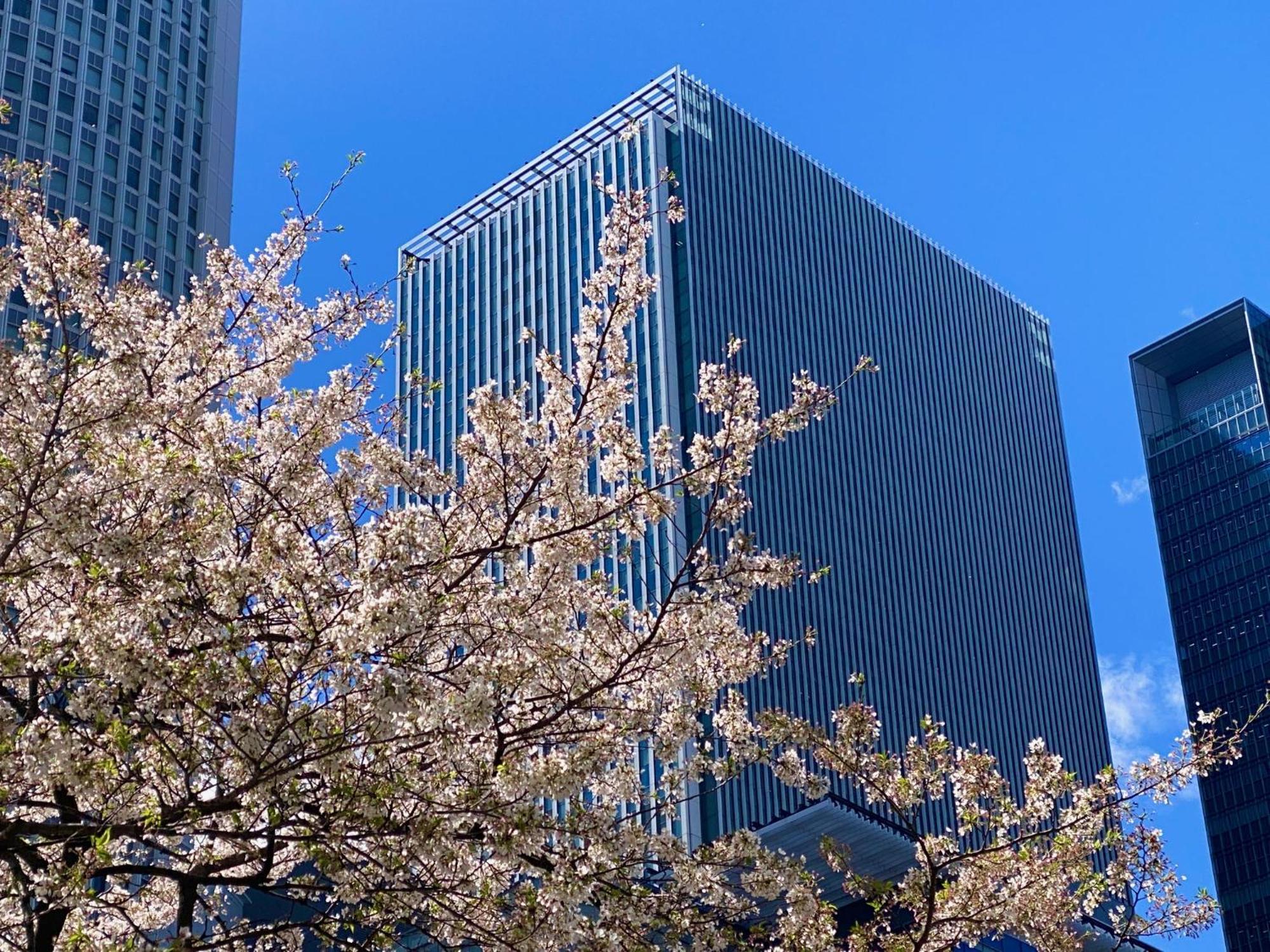 名古屋jr门楼酒店 4* 名古屋